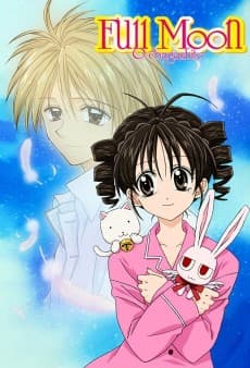 Looking for the Full Moon