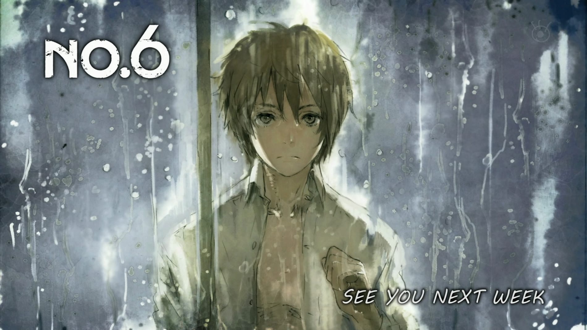 NO.6