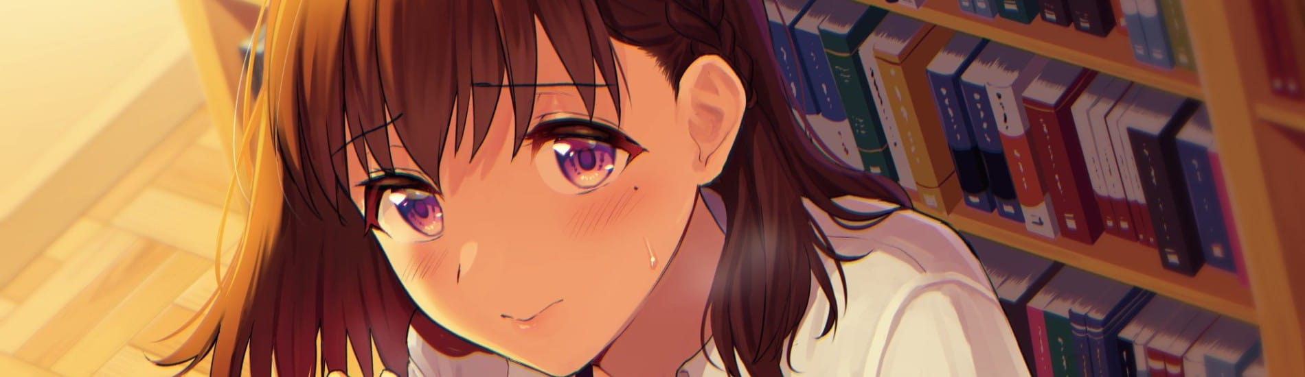 Toshoshitsu no Kanojo: Seiso na Kimi ga Ochiru made THE ANIMATION