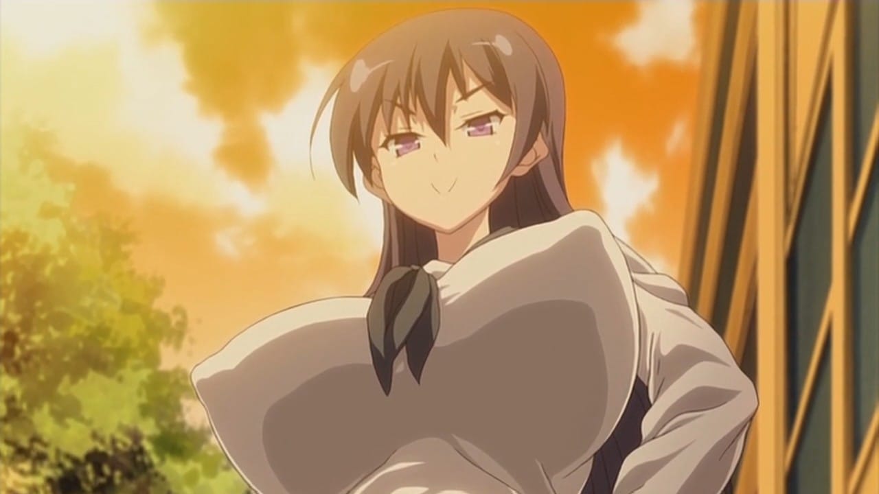 Gyakuten Majo Saiban: Chijo na Majo ni Sabakarechau THE ANIMATION